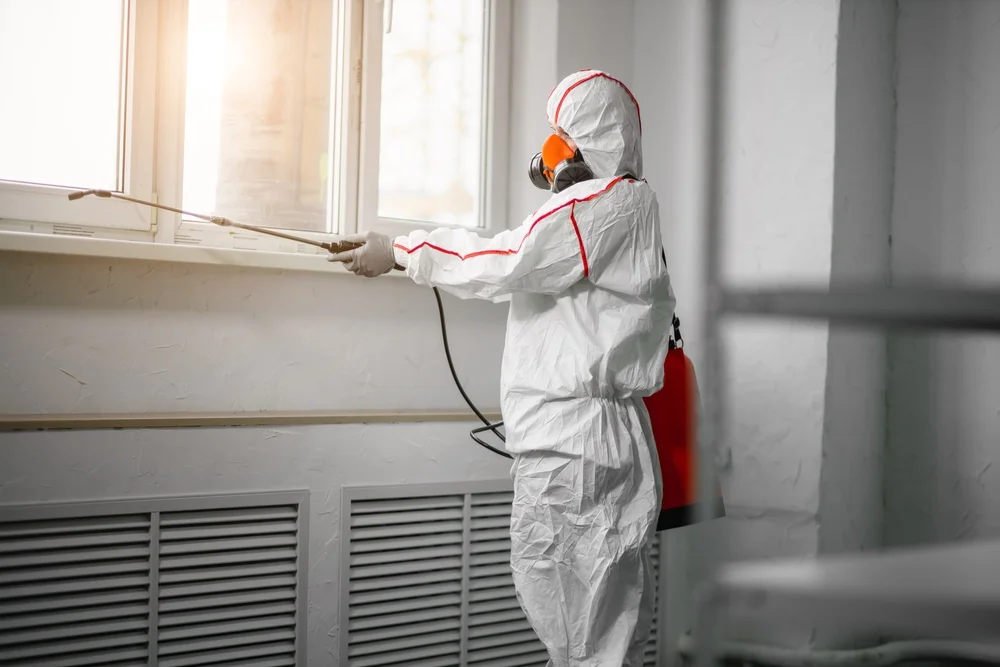 Professional mold remediation services in Fowler, IN